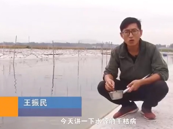 必赢亚洲干枯病产生涯法规及防治步骤