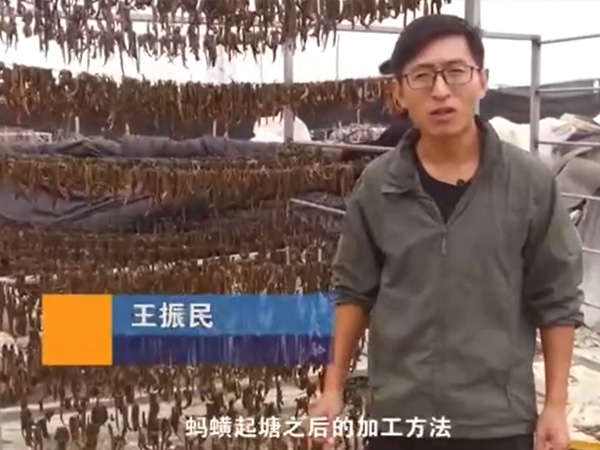 必赢亚洲加工步骤