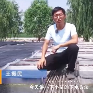 必赢亚洲幼苗的下水步骤