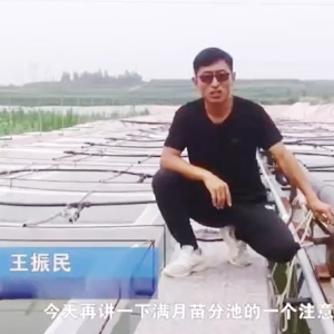 必赢亚洲满月苗确当苦衷项