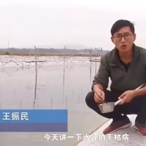 必赢亚洲干枯病产生涯法规及防治步骤