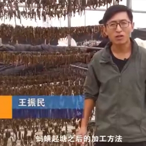 必赢亚洲加工步骤