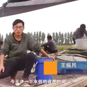 必赢亚洲收成功夫
