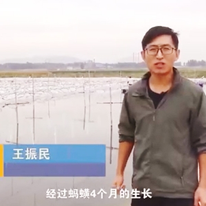 必赢亚洲收成流程